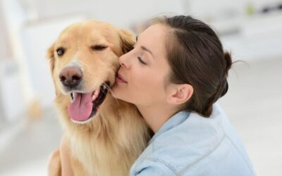 Removing Pet Odors at Home with Misting Ozone