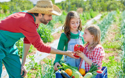 How Ozone Can Remove Poisonous Chemical Residue From Your Produce