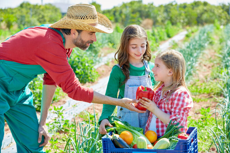 How Ozone Can Remove Poisonous Chemical Residue From Your Produce